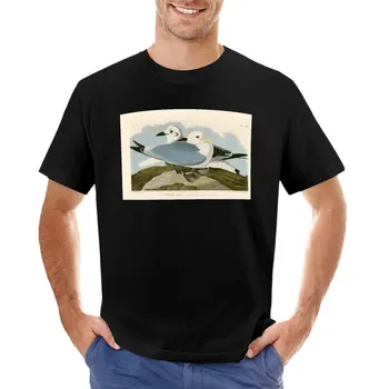 Kittiwake Kiras - John James Audubon Paukščių Valstijų T-Shirt tuščią t marškinėliai t-shirts žmogus vasaros drabužiai vyrams, drabužiai